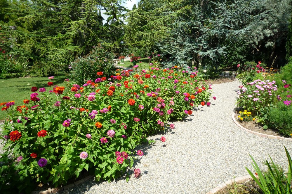 Jardin paysager fleuri