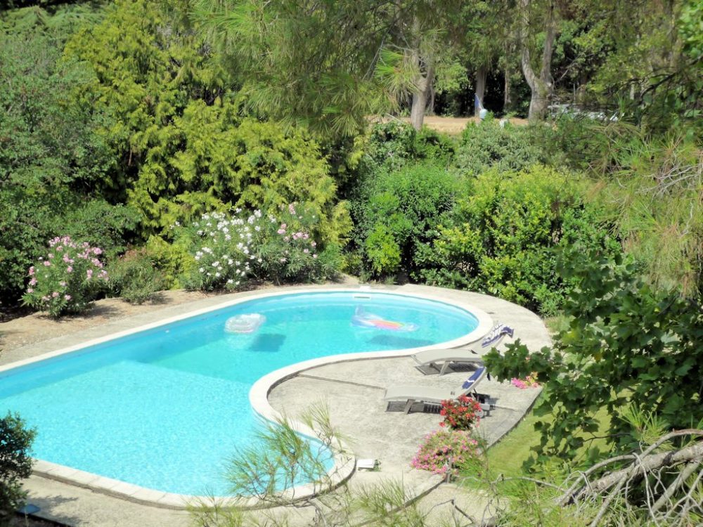 Piscine et jardin